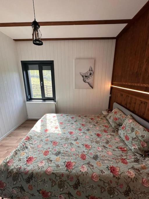 Alpine Chalet Predelut Esterno foto