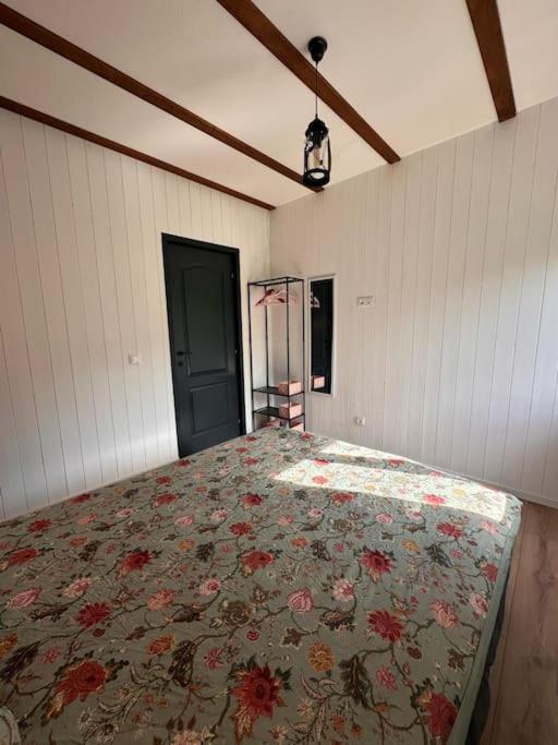Alpine Chalet Predelut Esterno foto
